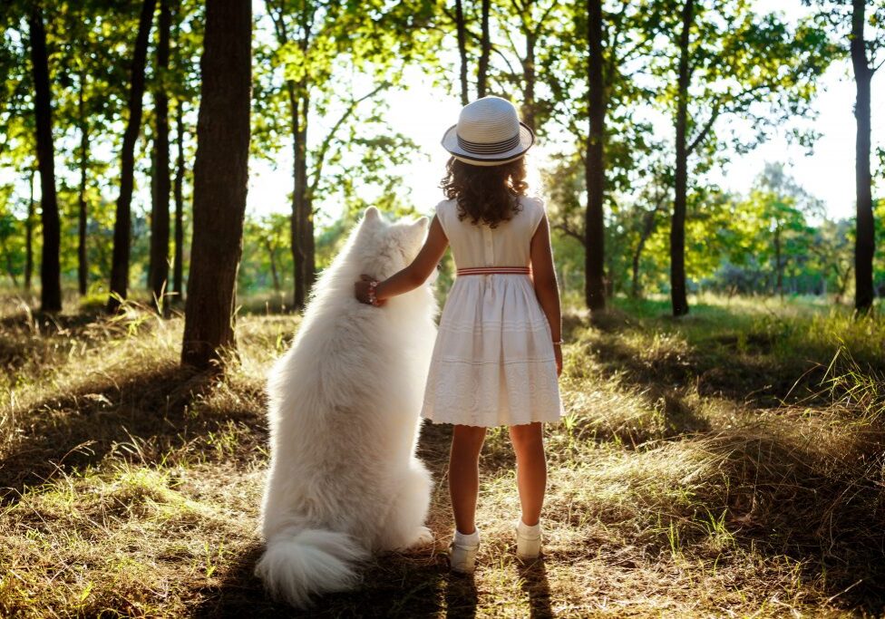 Young pretty girl in dress and hat walking, playing with white dog in park at sunset.